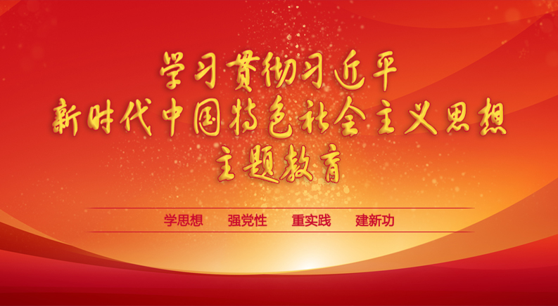 学习贯彻习近平新时代中国特色社会主义思想主题教育 学习贯彻习近平新时代中国特色社会主义思想...