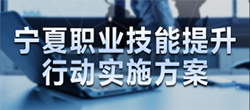 职业技能专题