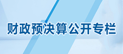 财政预决算公开专栏